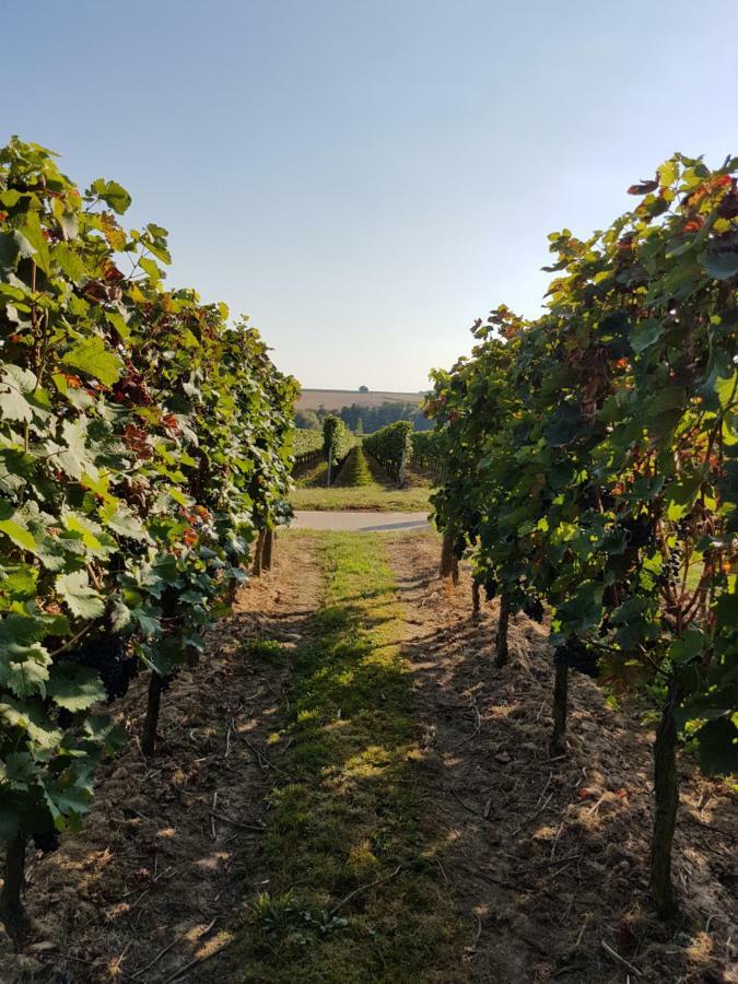 Weingut & Gaestehaus Nagel Kapellen-Drusweiler