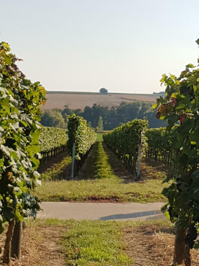 Weingut & Gaestehaus Nagel Homestay